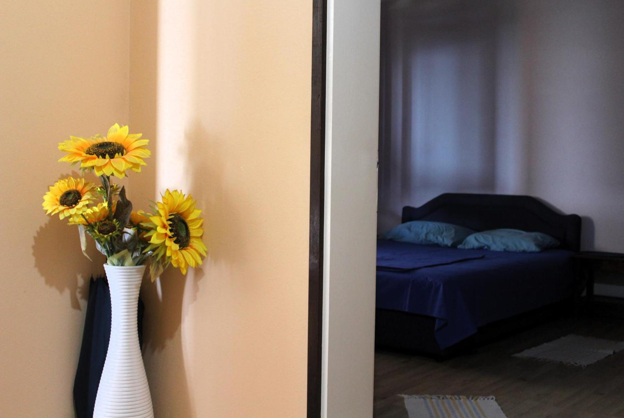 Apartments Olga أولتْسي المظهر الخارجي الصورة