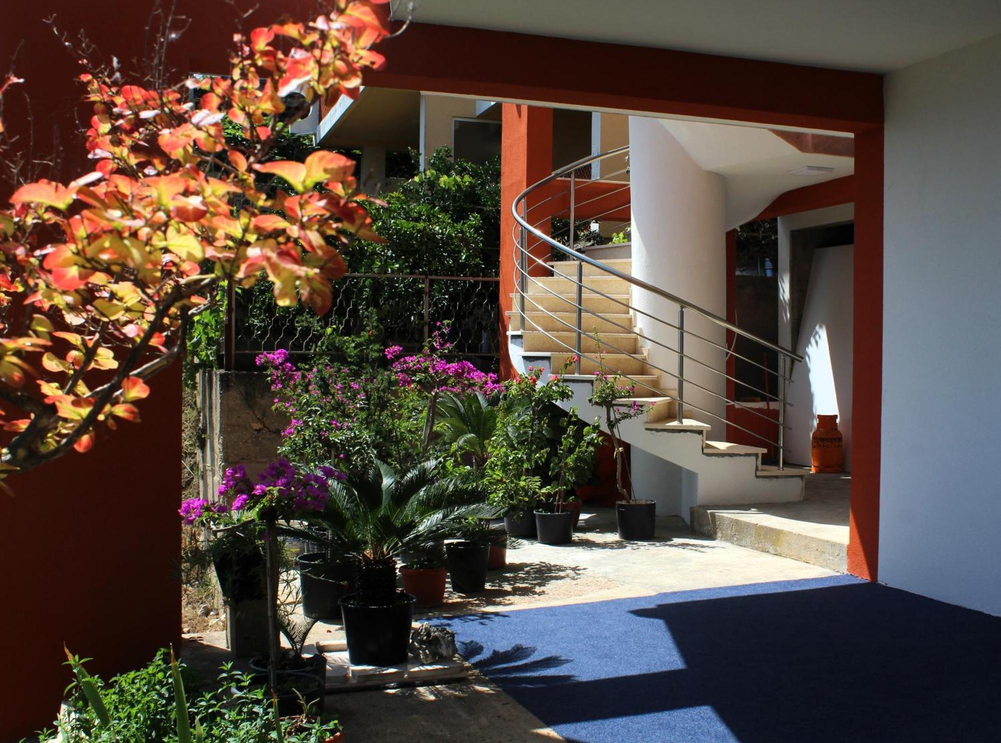 Apartments Olga أولتْسي المظهر الخارجي الصورة